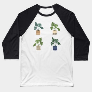 Pots of monstera deliciosa plant Baseball T-Shirt